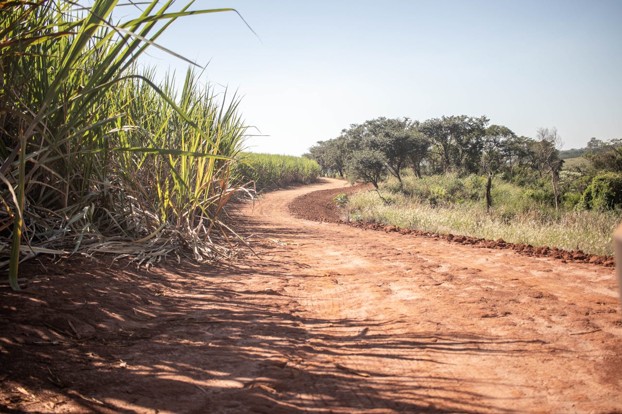 Mastering the First Impression: Your intriguing post title goes here A winding dirt road stretches through lush farmland, flanked by fields and trees.